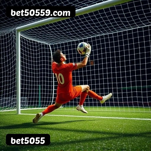 Níveis do programa VIP da bet5055